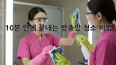 10분 만에 끝내는 방충망 청소 비법! ✨