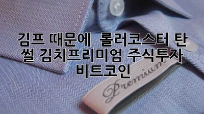🇰🇷 김프 때문에 🎢 롤러코스터 탄 썰 #김치프리미엄 #주식투자 #비트코인